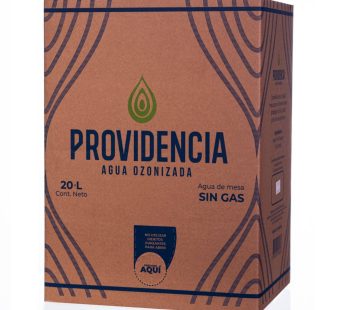 AGUA PROVIDENCIA CAJA DE 20 LT