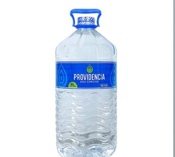 AGUA PROVIDENCIA X 8LT