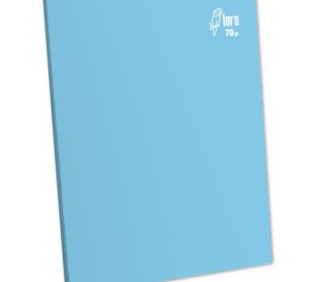 CUADERNO A4 LORO RAYADO X 80 HJ